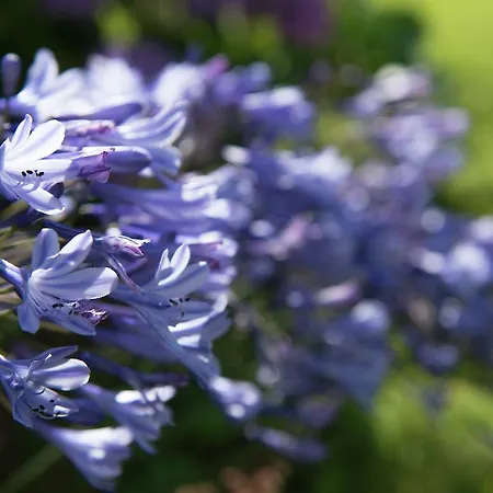 아파트 Beautiful With Garden Near Forest In Ardennes 스파